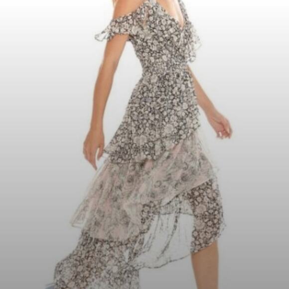 MISA Los Angeles "Idalia" Cottagecore Floral Assymetrical Midi Dress Size Small - Picture 2 of 4